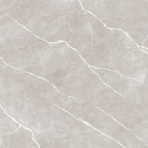 PISO PORCELANATO GAUDI PO 80X80 ASLAN GRIS CX COM 2,57 METROS