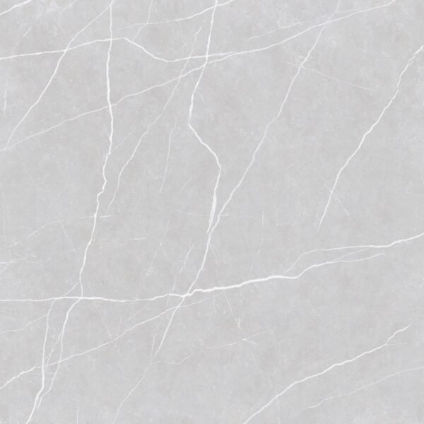 PISO PORCELANATO GAUDI AC 120X120 ASLAN GRIS CX COM 2,86 METROS