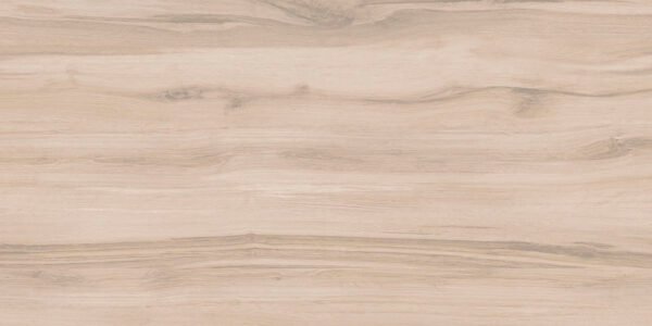 PISO PORCELANATO DELTA AC 60X120 CAJA IN CX COM 2,88 METROS