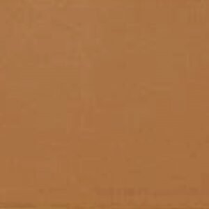 PASTILHA CERAMICA CERAL BR 7,5X25 COLOR CORAL CX COM 1,01 METROS