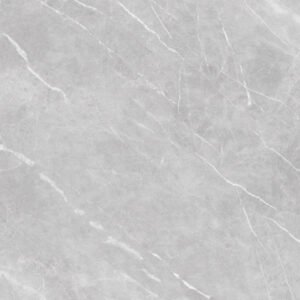 PISO CERAMICO EMBRAMACO PO 100X100 COLLIN LUX ULTRA P100152 CX COM 2 METROS